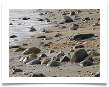 Charmouth Beach, Dorset-2 - Helen Kulczycki Charmouth Beach, Dorset-2 - Helen Kulczycki